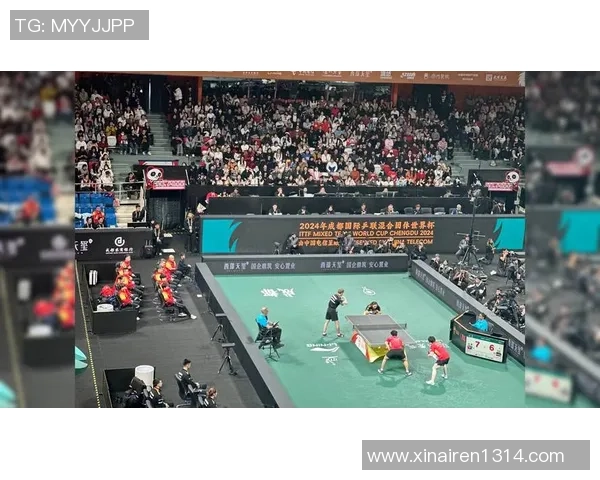 成都乒乓球队在全国耐力排行榜中荣获第六名的辉煌成就